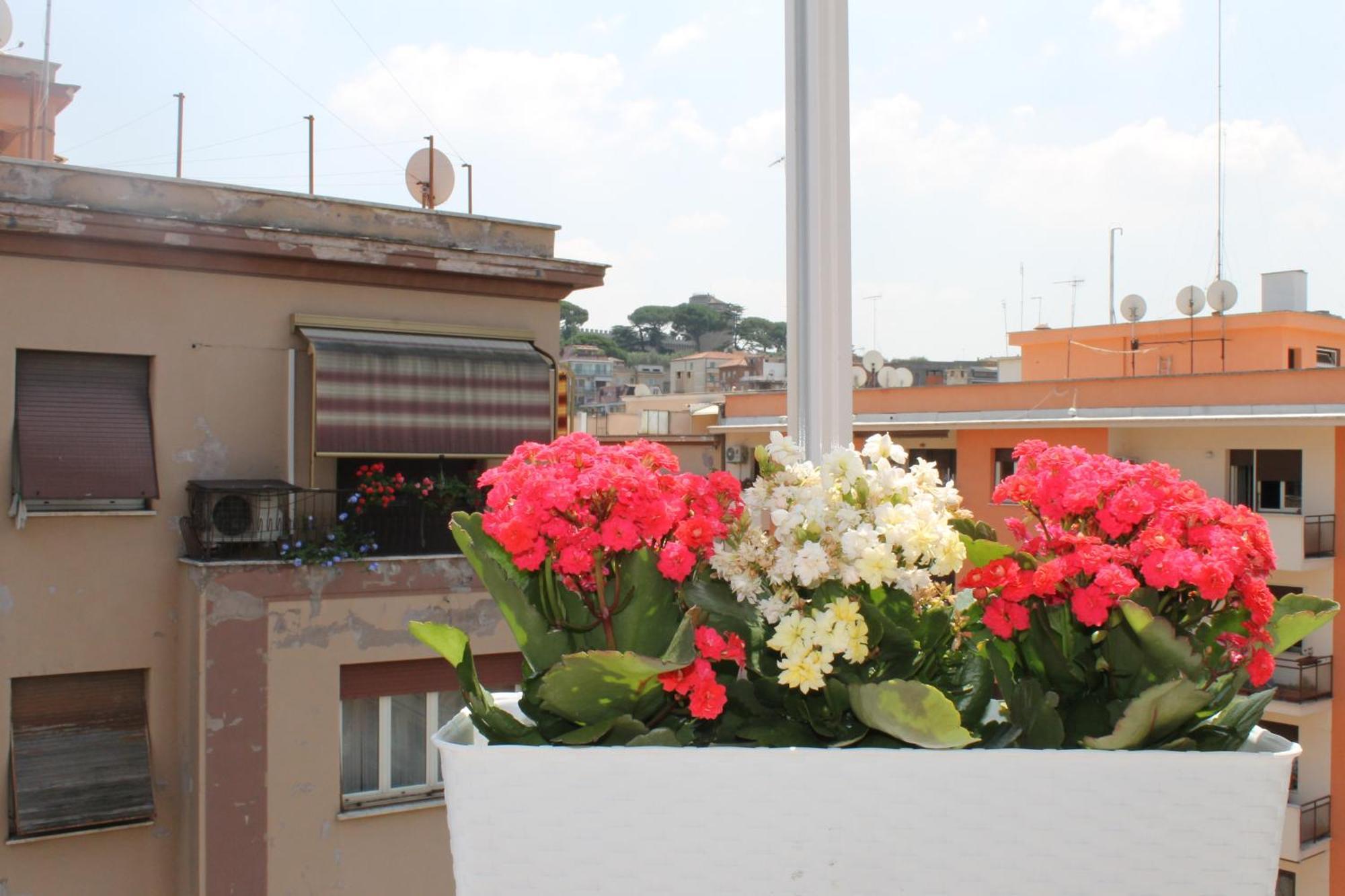 Appartamento Monnalisa Roma