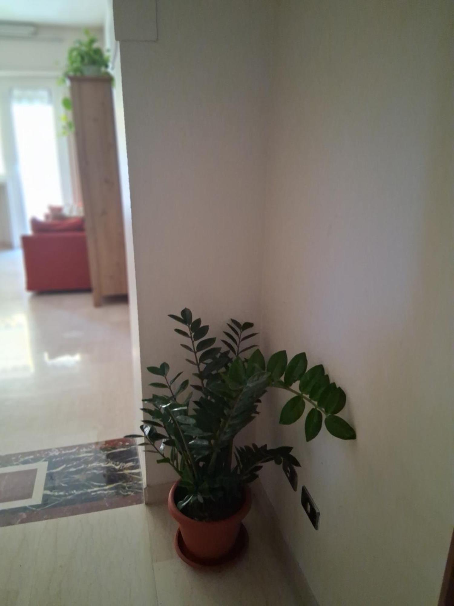 Monnalisa Apartamento Roma